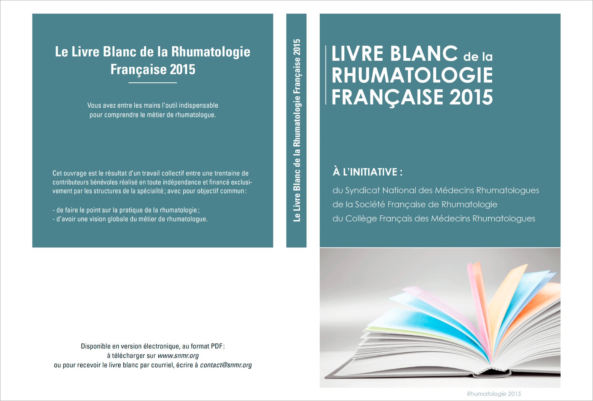 Livre blanc de la Rhumatologie, création, Mise en page, couverture