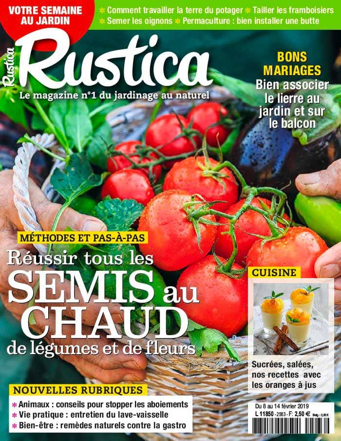 Mise en page sur site du Magazine, Rustica, Couverture