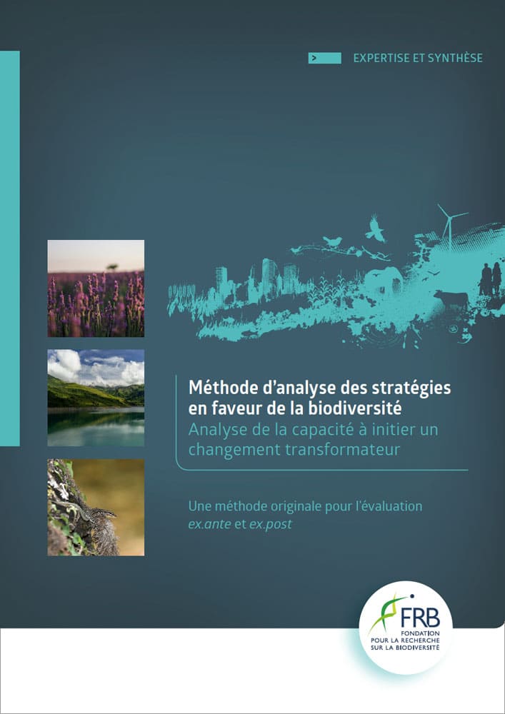 CNRS Edition, Brochure, Mise en page, pages