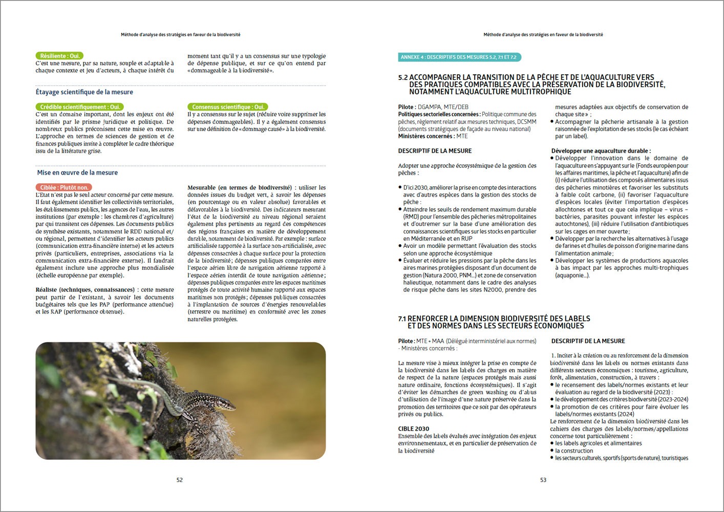 CNRS Edition, Brochure, Mise en page, pages