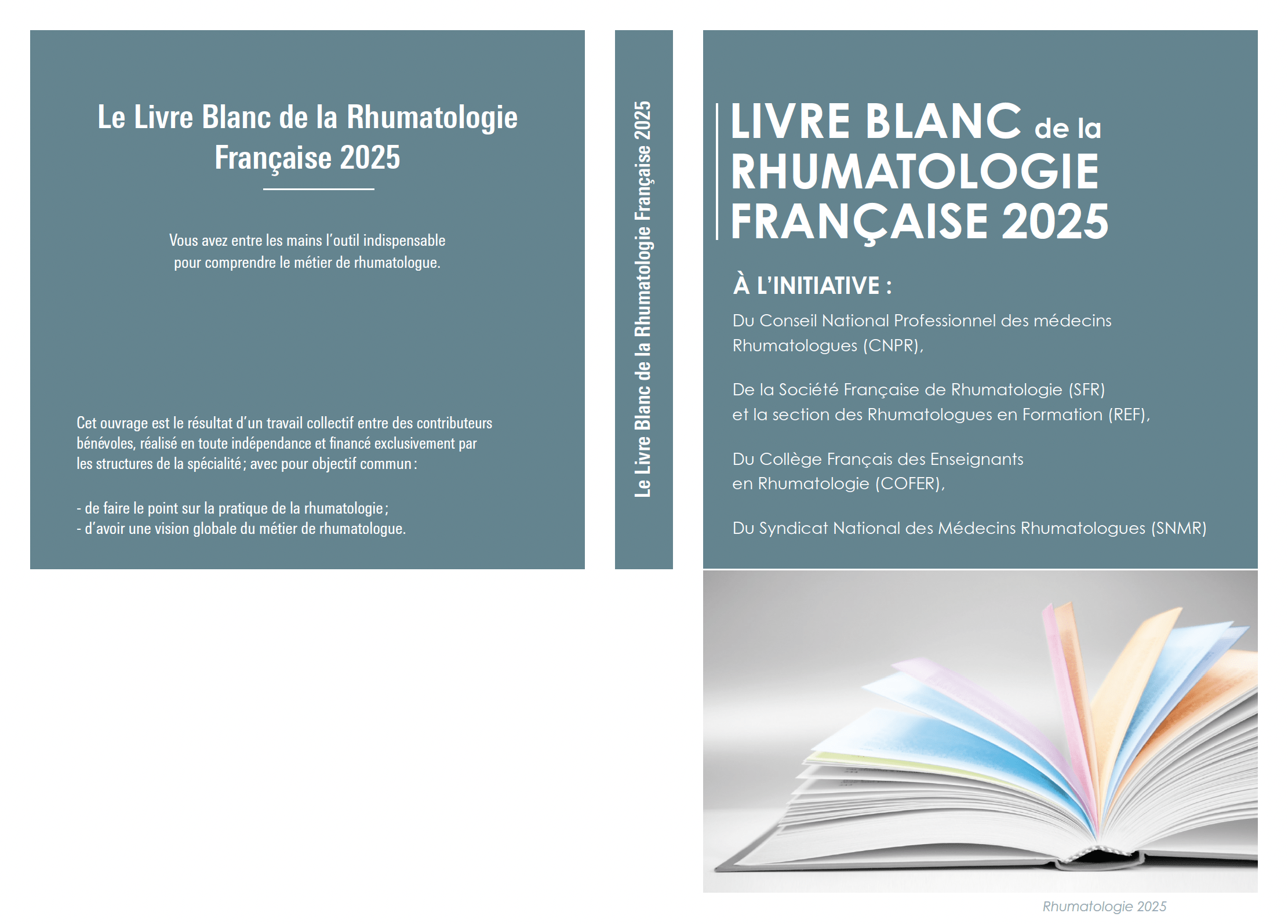 CNRS Edition, Brochure, Mise en page, pages